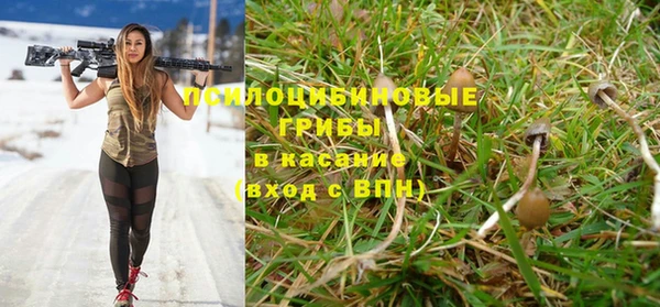 меф Нягань
