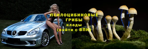 меф Удомля