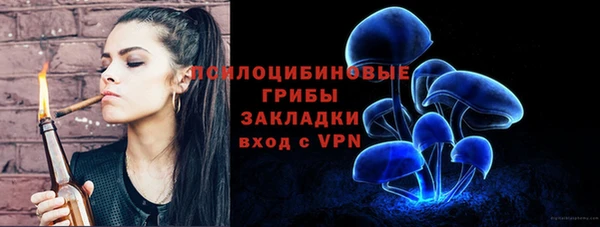 бошки Ужур