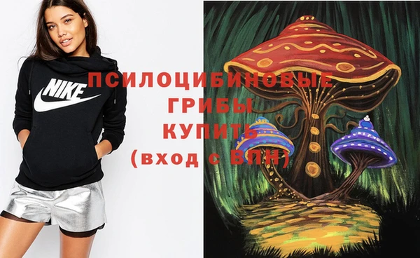 прущие грибы Узловая