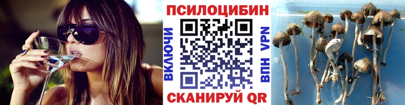 Галлюциногенные грибы прущие грибы  Унеча 