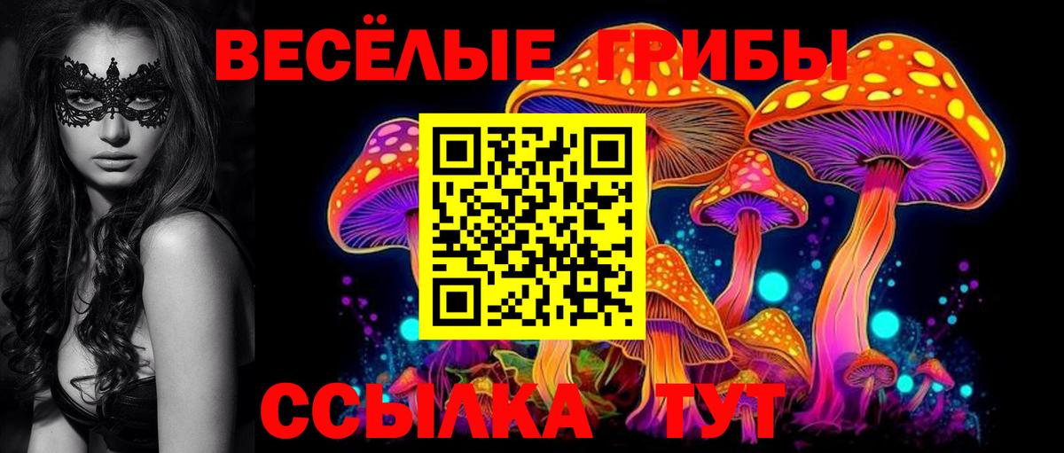 Унеча  Псилоцибиновые грибы Psilocybine cubensis  Вход с VPN 